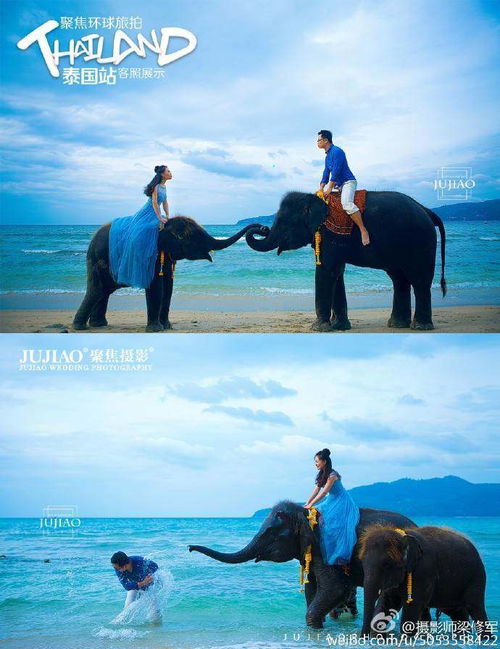 专业摄影 服装与服务的完美融合，最吸引我的理由