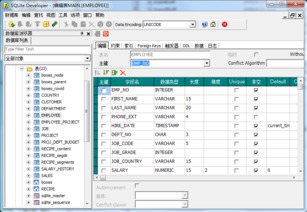 SharpPlus SQLite Developer 4.1.6.548 破解版 风险与正规数据库管理方案探讨
