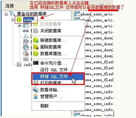 Navicat 高效、强大的跨平台数据库管理工具