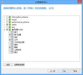 Navicat for MariaDB 原生环境下的数据库管理利器